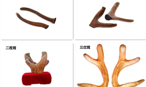 鼻窦炎阿莫西林管用吗-【阿莫西林治鼻窦炎吃多长时间】阿莫西林治鼻窦炎吃多长时间 - 鼻窦炎 阿莫西林 效果网