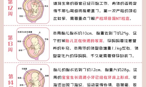 【阿莫西林治鼻窦炎吃多长时间】阿莫西林治鼻窦炎吃多长时间 - 鼻窦炎 阿莫西林 效果网