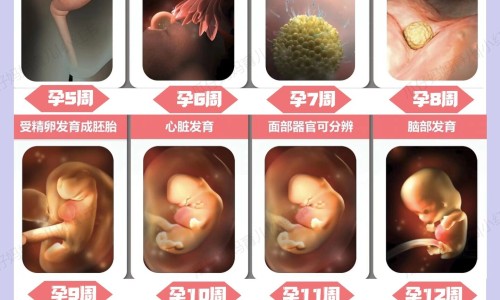 【阿莫西林治鼻窦炎吃多长时间】阿莫西林治鼻窦炎吃多长时间 - 鼻窦炎 阿莫西林 效果网